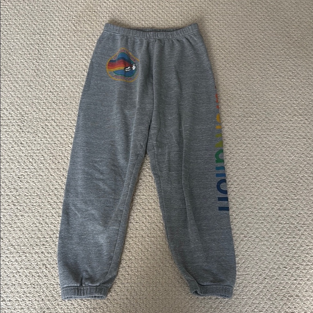 Aviator Nation grey sweatpants